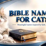 bible names for cats