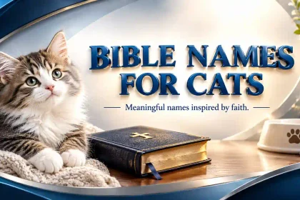 bible names for cats