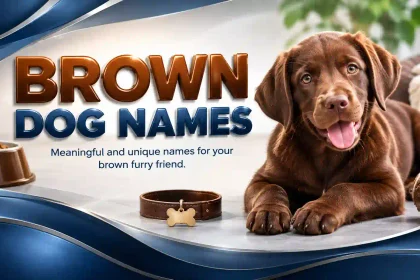 Brown Dog Names
