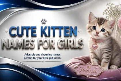 cute kitten names for girls