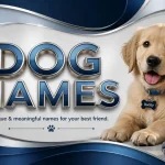 Dog Names