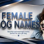 female dog name