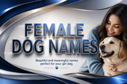 female dog name