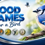 good names for a bird