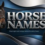 Horse Names