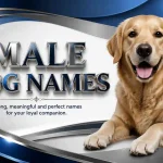 male dog names