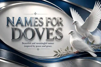 names for doves