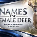 names for female deer