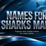 names for sharks male