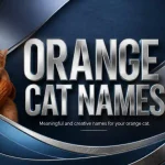 Orange Cat Names