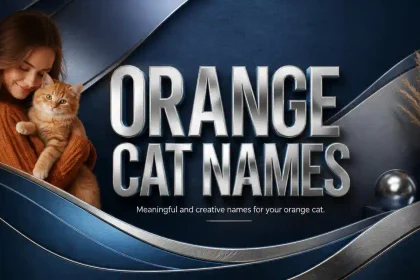 Orange Cat Names