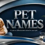 pet name