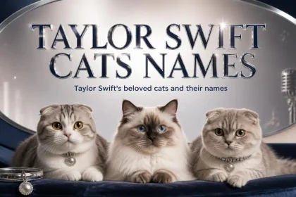 Taylor Swift cats names,