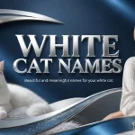 white cat names