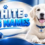 White Dog Names