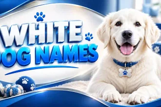 White Dog Names