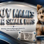 boy names for small dogs