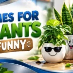 names for plants funny