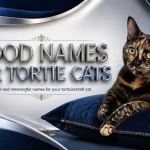 good names for tortie cats