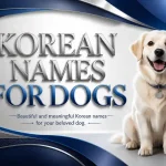korean names for dogs