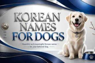 korean names for dogs