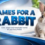 names for a rabbit