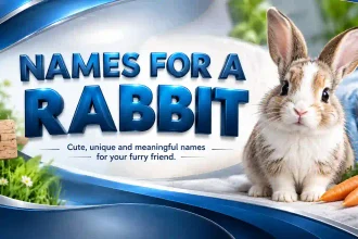 names for a rabbit