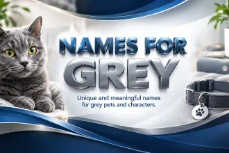names for grey